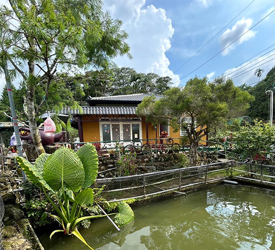 Gallery Images